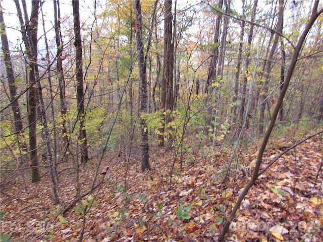 Listing photo 3 for E-20 Red Wolf Run, Mars Hill NC 28754