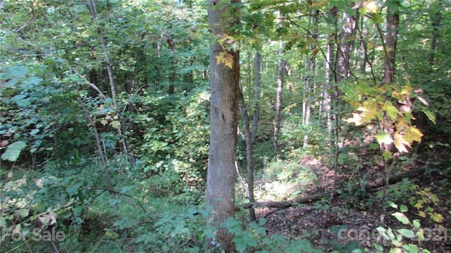 E-19 Red Wolf Run, Mars Hill NC, 28754 land for sale