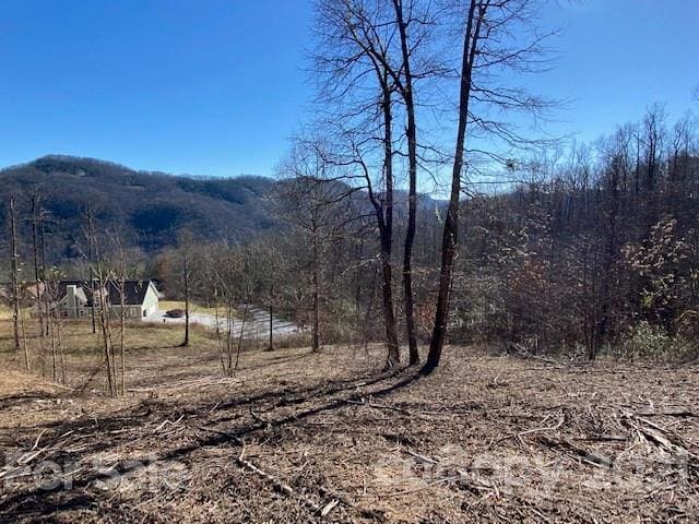 Listing photo 2 for 0000 Silverglen Way Unit 70, Hendersonville NC 28792