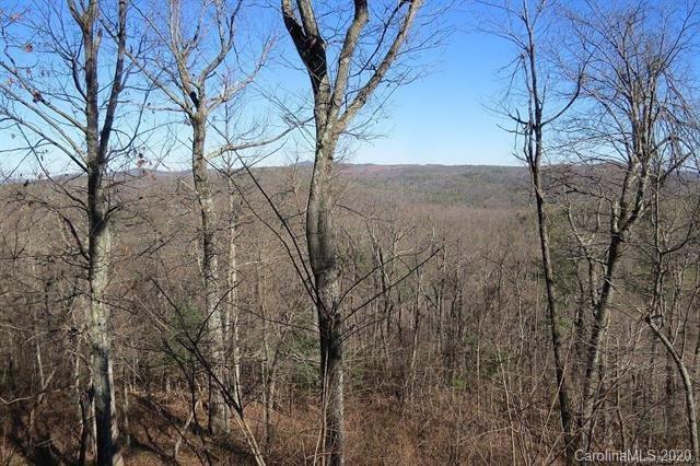 212 W Chestnut Ridges Rd, Hendersonville NC, 28739 land for sale