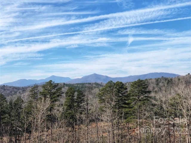 0 Hardin Store Rd, Rutherfordton, NC 28139