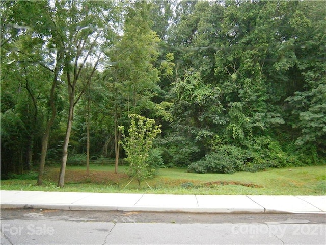 99999 Dolan Rd Unit 4, Waynesville NC, 28786 land for sale