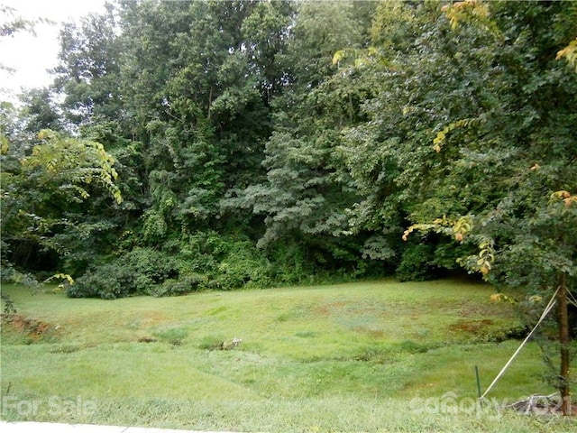 Listing photo 2 for 99999 Dolan Rd Unit 3, Waynesville NC 28786