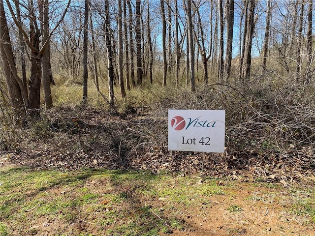 Listing photo 2 for 000 Bridge Ln Unit 42, Tryon NC 28782