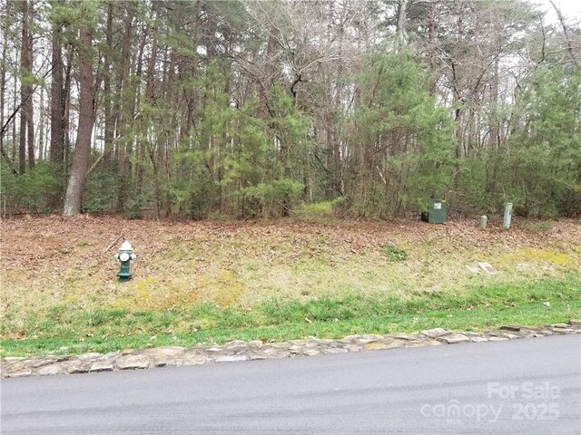 2135 Southpoint Ln Unit 59, Badin Lake, NC 28127 - photo 8