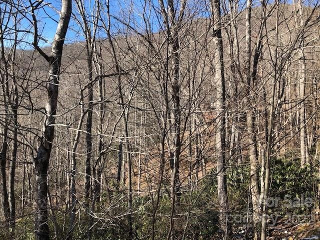 Listing photo 3 for 99999 Winding Poplar Rd Unit 806, Black Mountain NC 28711