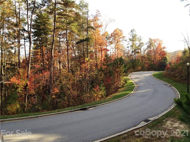 UPPER Camptown Rd Unit M110, Brevard NC, 28712 land for sale