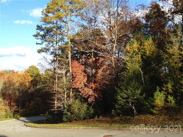 Listing photo 2 for UPPER Camptown Rd Unit M110, Brevard NC 28712