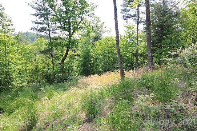 Listing photo 2 for LOT528 Roca Vista Dr Unit 528, Lenoir NC 28645