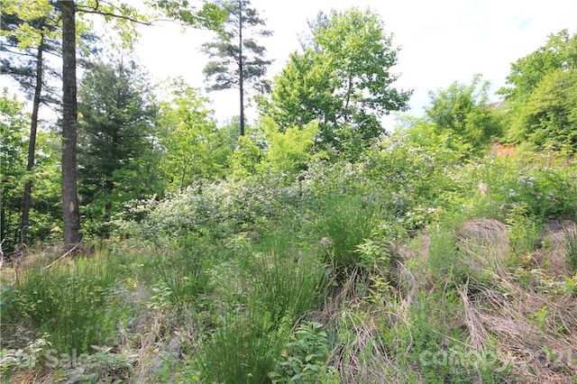 Listing photo 3 for LOT528 Roca Vista Dr Unit 528, Lenoir NC 28645