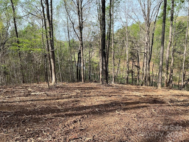 0 Moss Dr Unit 39, Rutherfordton, NC 28139 - photo 5