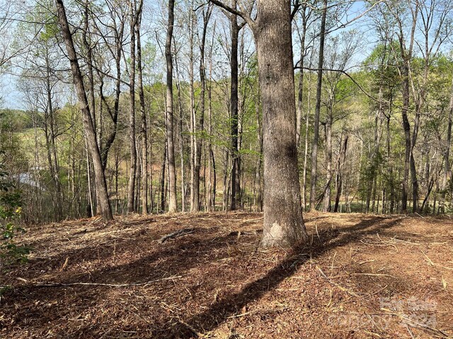 0 Moss Dr Unit 39, Rutherfordton, NC 28139 - photo 6