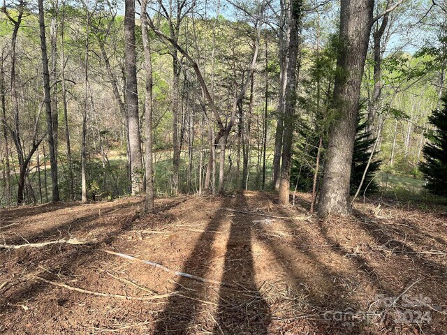0 Moss Dr Unit 39, Rutherfordton, NC 28139 - photo 8
