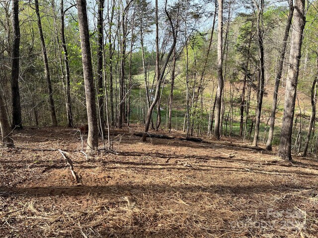 0 Moss Dr Unit 39, Rutherfordton, NC 28139 - photo 11