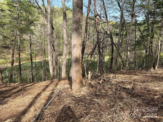 0 Moss Dr Unit 39, Rutherfordton, NC 28139 - photo 12