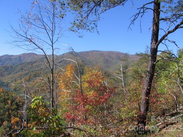 14 Blue Vista Rd Unit 14, Canton NC, 28716 land for sale