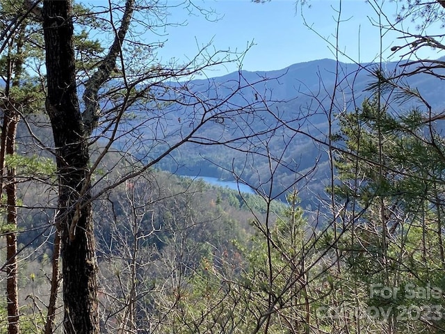14 Blue Vista Rd Unit 14, Canton, NC 28716