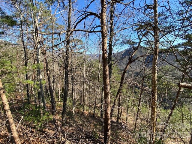 14 Blue Vista Rd Unit 14, Canton, NC 28716