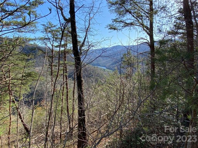 14 Blue Vista Rd Unit 14, Canton, NC 28716