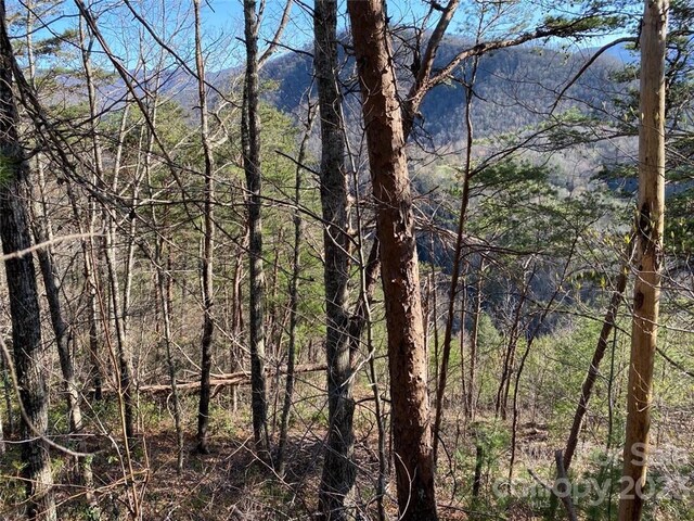 14 Blue Vista Rd Unit 14, Canton, NC 28716