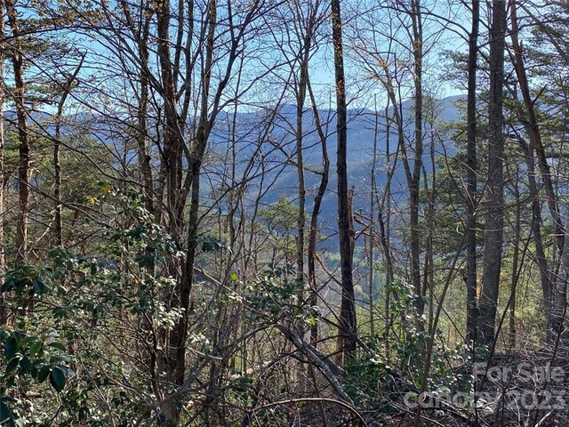 14 Blue Vista Rd Unit 14, Canton, NC 28716