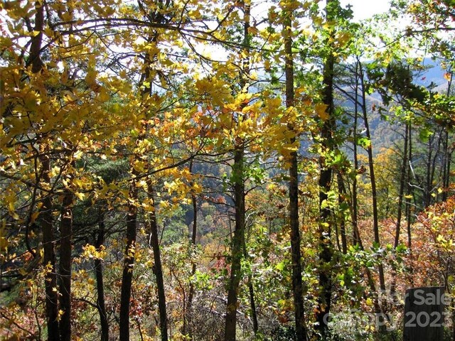 14 Blue Vista Rd Unit 14, Canton, NC 28716