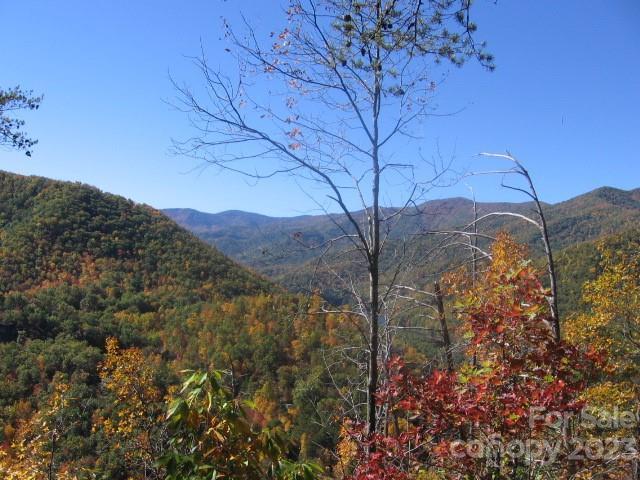 14 Blue Vista Rd Unit 14, Canton, NC 28716