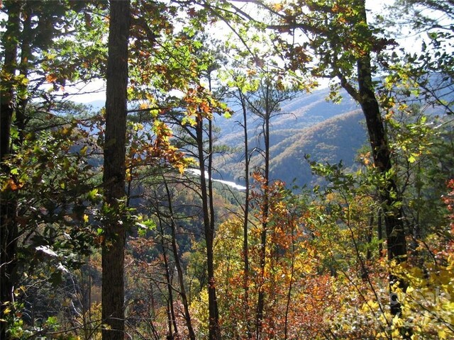 14 Blue Vista Rd Unit 14, Canton, NC 28716