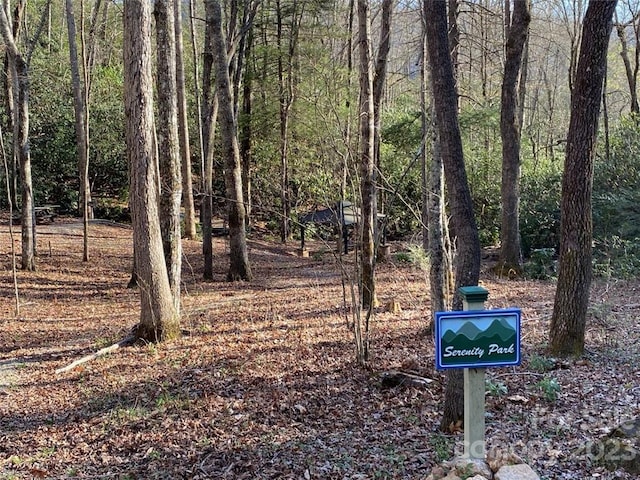 14 Blue Vista Rd Unit 14, Canton, NC 28716