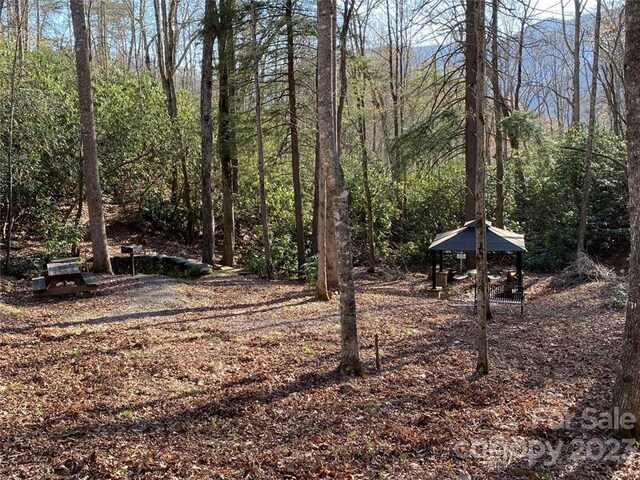 14 Blue Vista Rd Unit 14, Canton, NC 28716