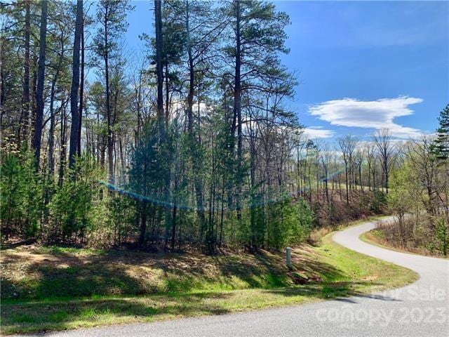 Listing photo 3 for 1.55ACRES LOT30 Shady Bark Ln Lot 30, Rutherfordton NC 28139