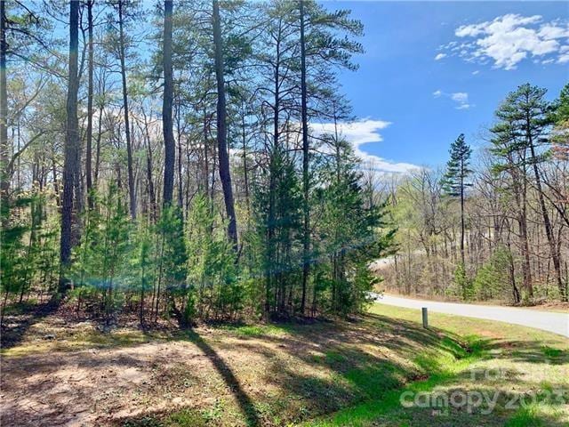 1.55ACRES LOT30 Shady Bark Ln Lot 30, Rutherfordton NC, 28139 land for sale