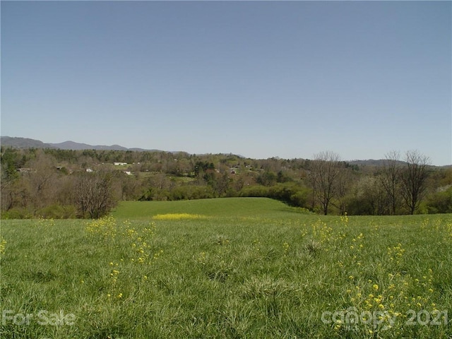 Listing photo 2 for 1293 Bear Creek Rd, Leicester NC 28748