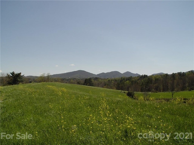 1293 Bear Creek Rd, Leicester, NC 28748 - photo 4