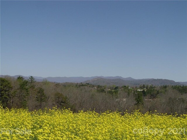 1293 Bear Creek Rd, Leicester, NC 28748 - photo 5