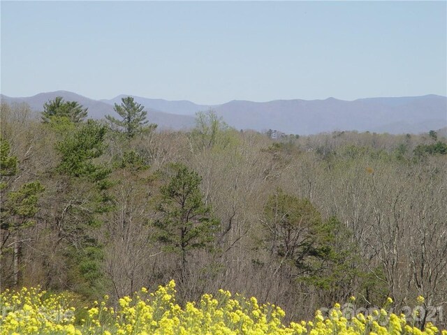 1293 Bear Creek Rd, Leicester, NC 28748 - photo 6