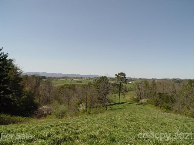 1293 Bear Creek Rd, Leicester, NC 28748 - photo 7