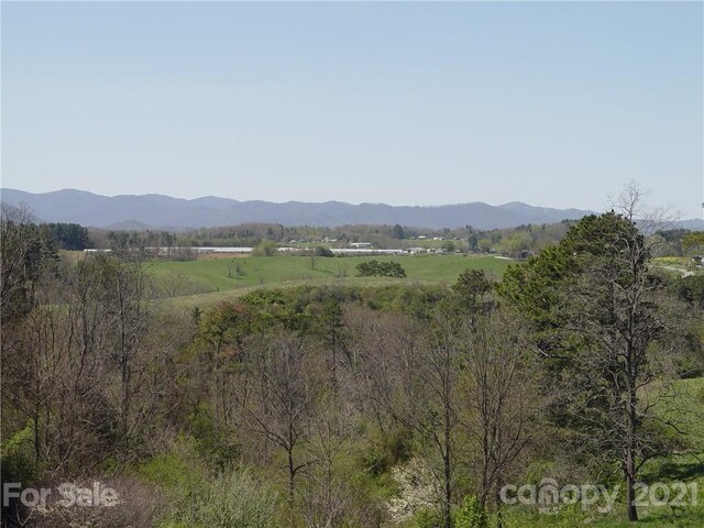1293 Bear Creek Rd, Leicester, NC 28748 - photo 8