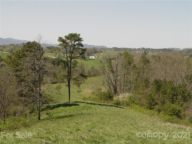 1293 Bear Creek Rd, Leicester, NC 28748 - photo 9