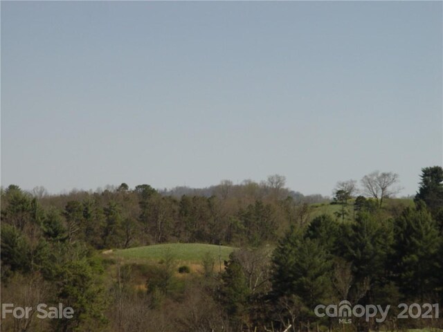 1293 Bear Creek Rd, Leicester, NC 28748 - photo 11
