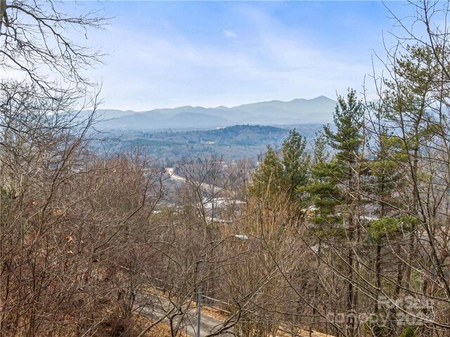 9999 Secluded Forest Dr, Asheville NC, 28804 land for sale