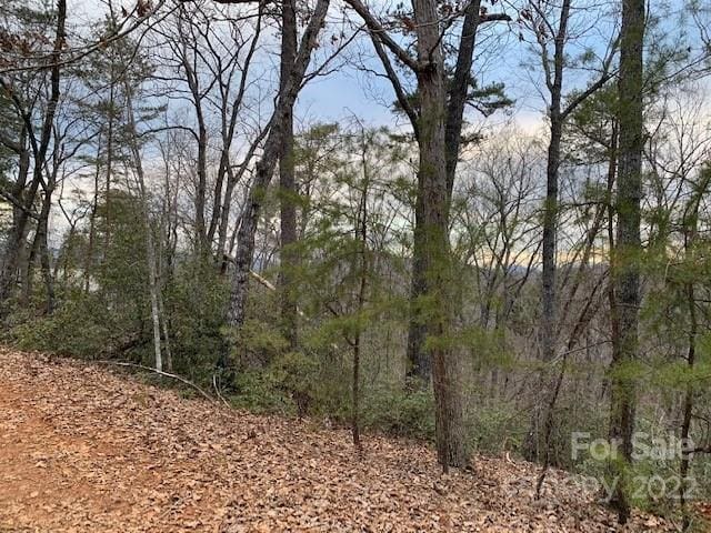 Listing photo 3 for 301 Otter Ln Unit 301, Lake Lure NC 28746