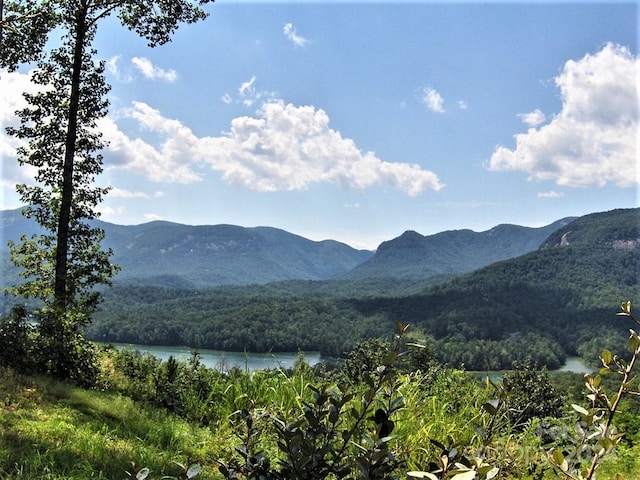 31 High Rock Rdg Unit 31, Lake Lure NC, 28746 land for sale