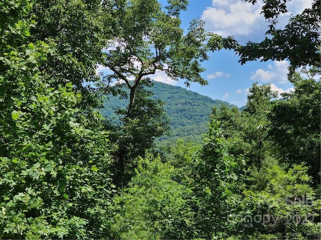 99999 Black Oak Dr, Asheville NC, 28804 land for sale