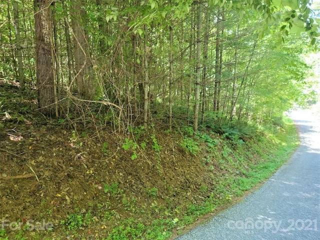 Listing photo 2 for 000 Riverside Hills Rd Unit 9, Burnsville NC 28714