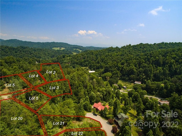 LOT2 The Vines Blvd Lot 2, Marshall NC, 28753 land for sale