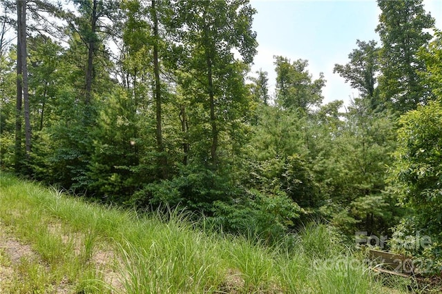 Listing photo 2 for LOT2 The Vines Blvd Lot 2, Marshall NC 28753