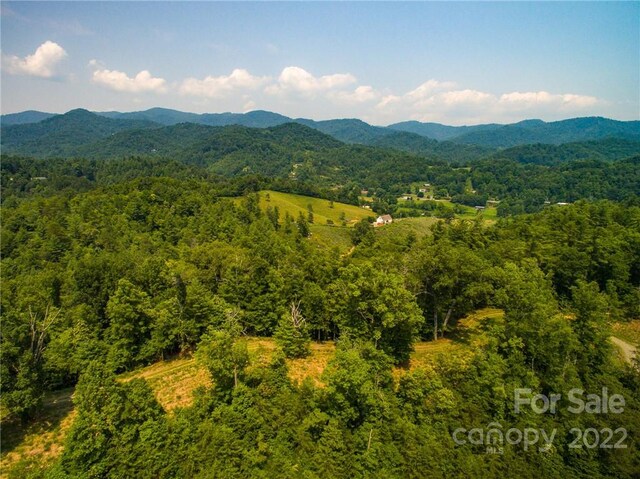 Listing photo 3 for LOT2 The Vines Blvd Lot 2, Marshall NC 28753