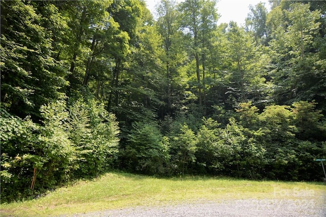 00 Little Pond Pass Lot # 33, Mars Hill NC, 28754 land for sale