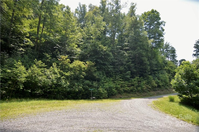 Listing photo 3 for 00 Little Pond Pass Lot # 33, Mars Hill NC 28754